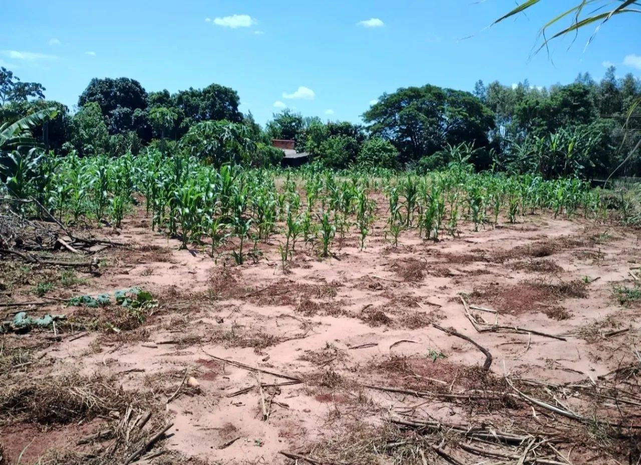 Vendo Vila Rural em Presidente Castelo Branco  - Foto 5