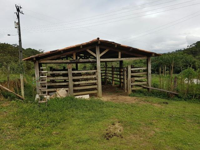 FZ 037- Fazenda Próximo a Ipiaú ? BA com 30 hectares. - Foto 2