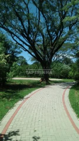 Terreno à venda em Tomazetti, Santa maria cod:10806 - Foto 14