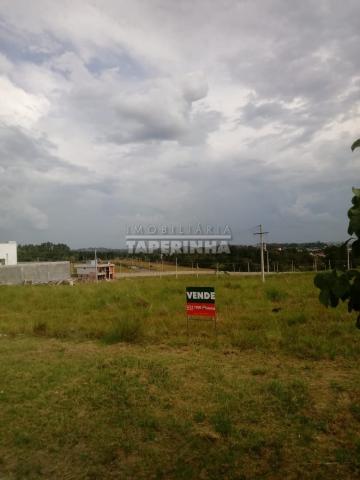 Terreno à venda em Tomazetti, Santa maria cod:10806 - Foto 5
