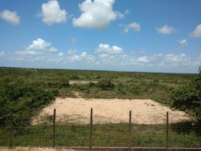 Fazenda no,litoral norte - Foto 8