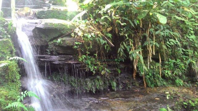 Área rural à venda, Prata dos Aredes, Teresópolis - AR0006. - Foto 15