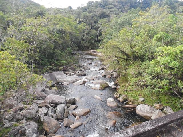 Área com mata para reserva legal - Foto 2