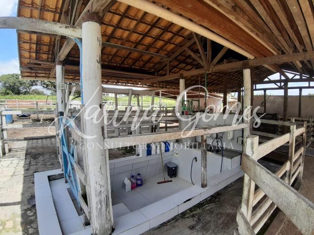 Lote - Fazenda Real III - Foto 16
