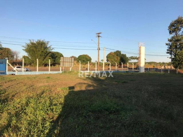 Imóvel comercial a venda no espigão - Foto 6