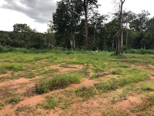 Chácara de 10.000 m2,Nova Mutum-MT, Troco imóveis em Tangará - Foto 4