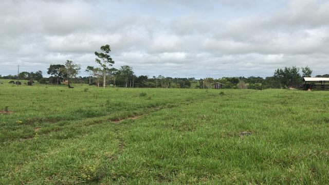 Sítio 8km da cidade em cacoal