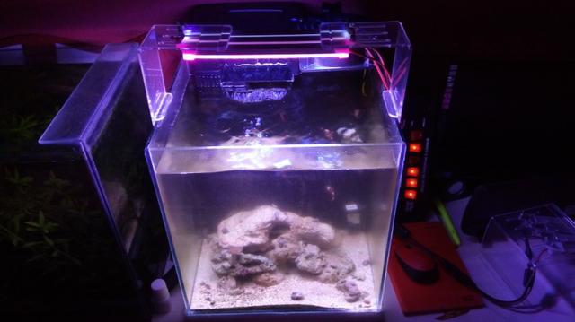 Luminária para Aquário (1 mês de uso) - Foto 5