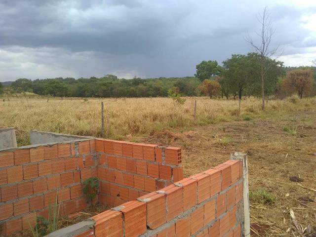 Fazenda Curral do fogo 23 hectares - Foto 6