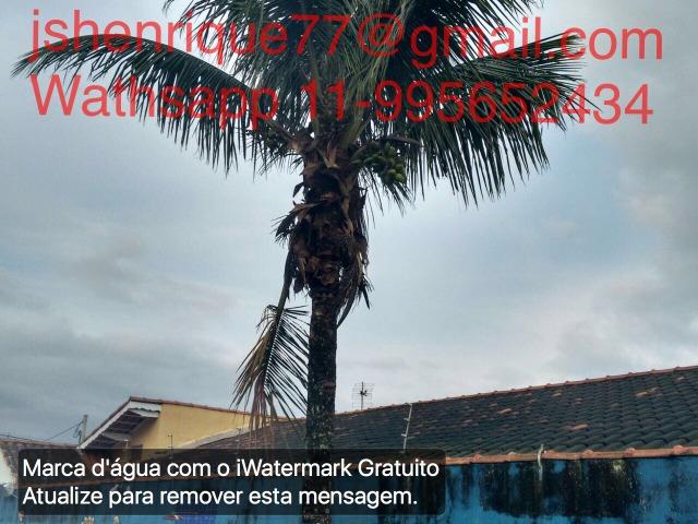 Casa temporada praia mongagua piscina churrasqueira festas feriado - Foto 18