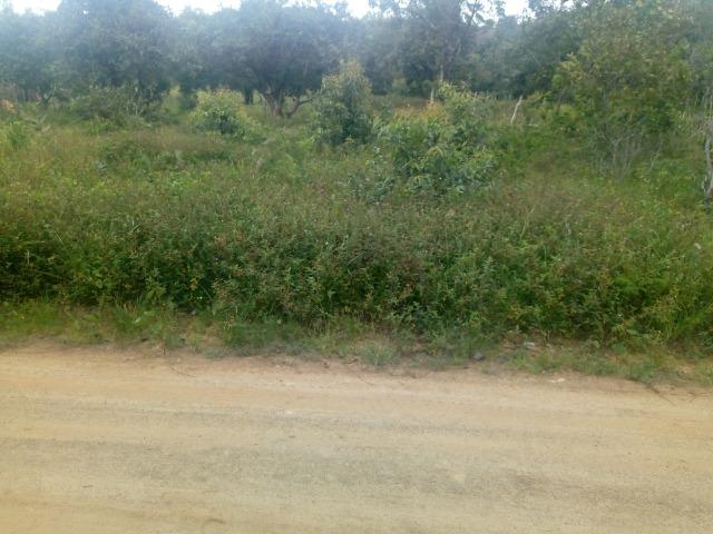 Terreno Ilha de Itaparica - Foto 10