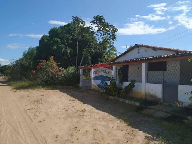 Chácara com 3 dormitórios para alugar, 100 m² por r$ 1.800,00/mês - zona rural - nísia flo - Foto 3