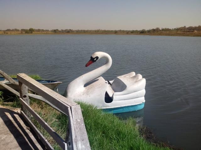 Fazenda há 10 km de Livramento com piscina, muito pasto, represas e lago - Foto 15