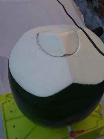 Suporte Água de Coco 3,5 Litros - Foto 4