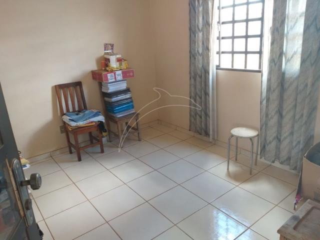 Rua 07 lote comercial, residencial