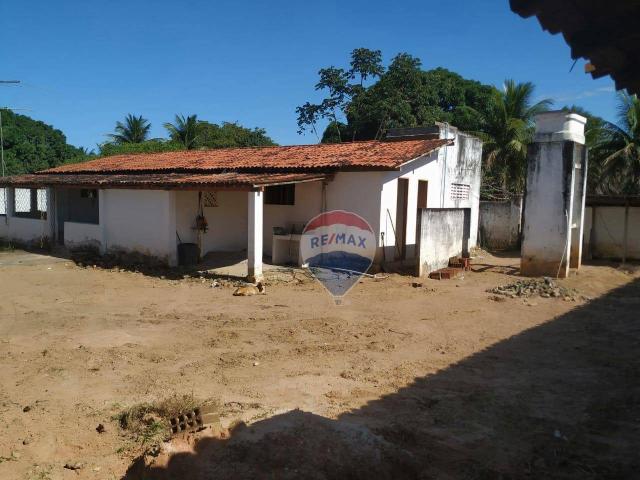 Chácara com 3 dormitórios para alugar, 100 m² por r$ 1.800,00/mês - zona rural - nísia flo - Foto 2