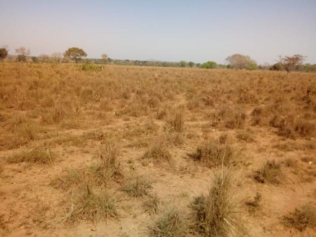Fazenda há 10 km de Livramento com piscina, muito pasto, represas e lago - Foto 11