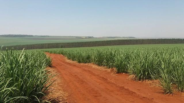 Fazenda 41 alqueires em Brodowisk 4.300.000.00