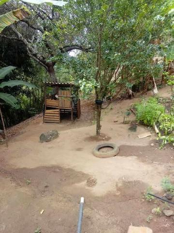 Sitio Timbui Fundão ES Oportunidade - Foto 8