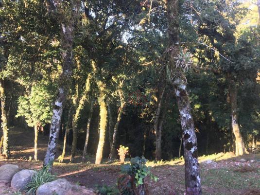 Amplo e em ótima localização, ideal para a edificação de um empreendimento! - Foto 18