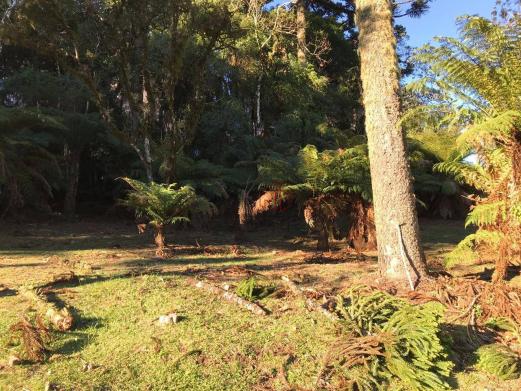 Terreno amplo no belo condomínio Quinta da Serra - Foto 12
