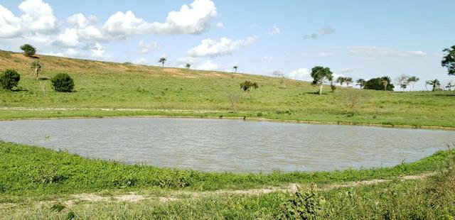 Maravilhosa fazenda na região rural de Baixa Grande Bahia, a 150 km de Feira de Santana - Foto 15