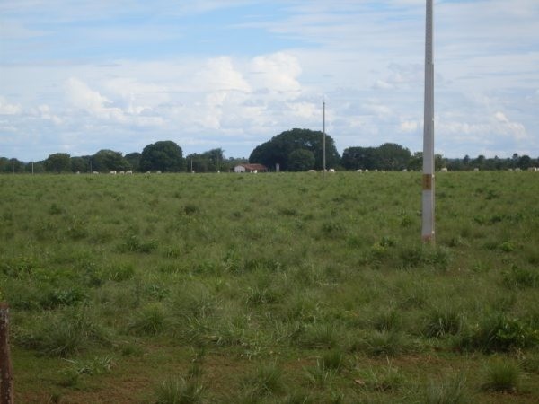 Fazenda em São Felix do Araguaia - MT com 90.050 hectares.