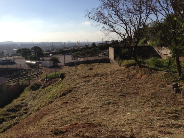 Excelente lote próximo a Puc Coração Eucarístico - Foto 4
