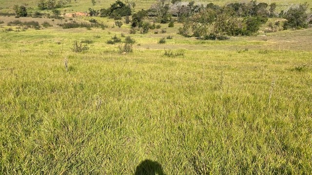 Chácara de 20.100m² em Anhumas - SP Sítio - Foto 3