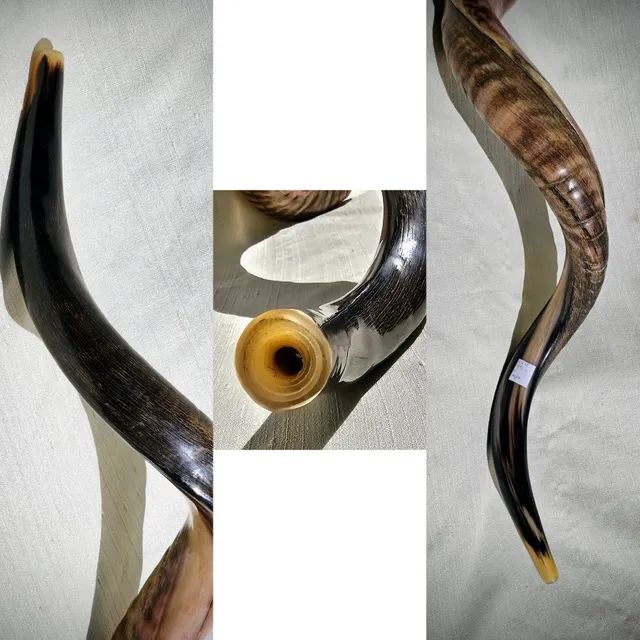 Shofar de Israel Kosher Semi Rústico Antiguidades Santa Cecília, Vitória 1185523486 OLX