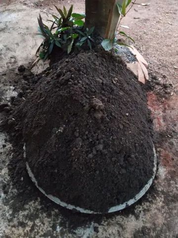 Vendo terra preta.