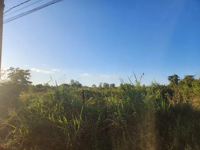 Vende-se área no distrito industrial com 40.000m2 em Cuiabá MT  - Foto 2