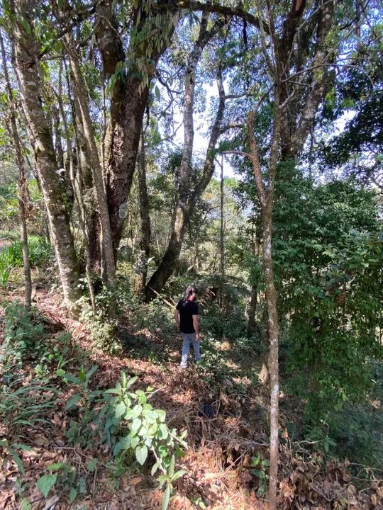 OPORTUNIDADE! Terreno em Monte Verde 3.700m - Foto 2