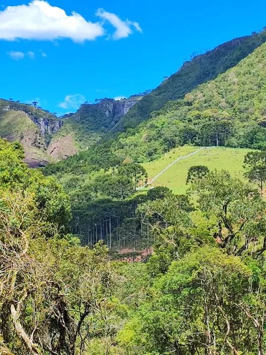 Sítio com cachoeira paradisíaca! - Foto 7