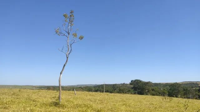 CHÁCARA A VENDA  2.000 MTS ANÁPOLIS GO !DIRETO COM PROPRIETÁRIO! - Foto 7