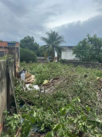 foto - Rio de Janeiro - Campo Grande