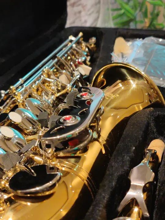 Sax Alto Novo Garantia 12 Meses Fundo Musical Ensaio Regional - Foto 4