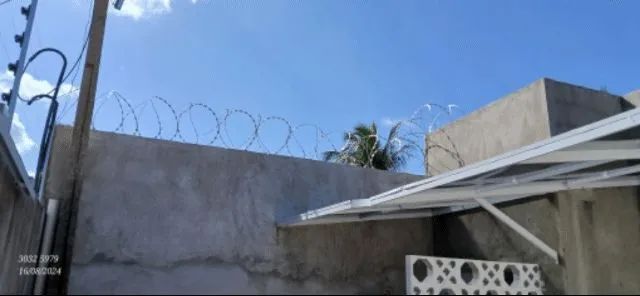 Concertina / Serpentina  - Foto 4