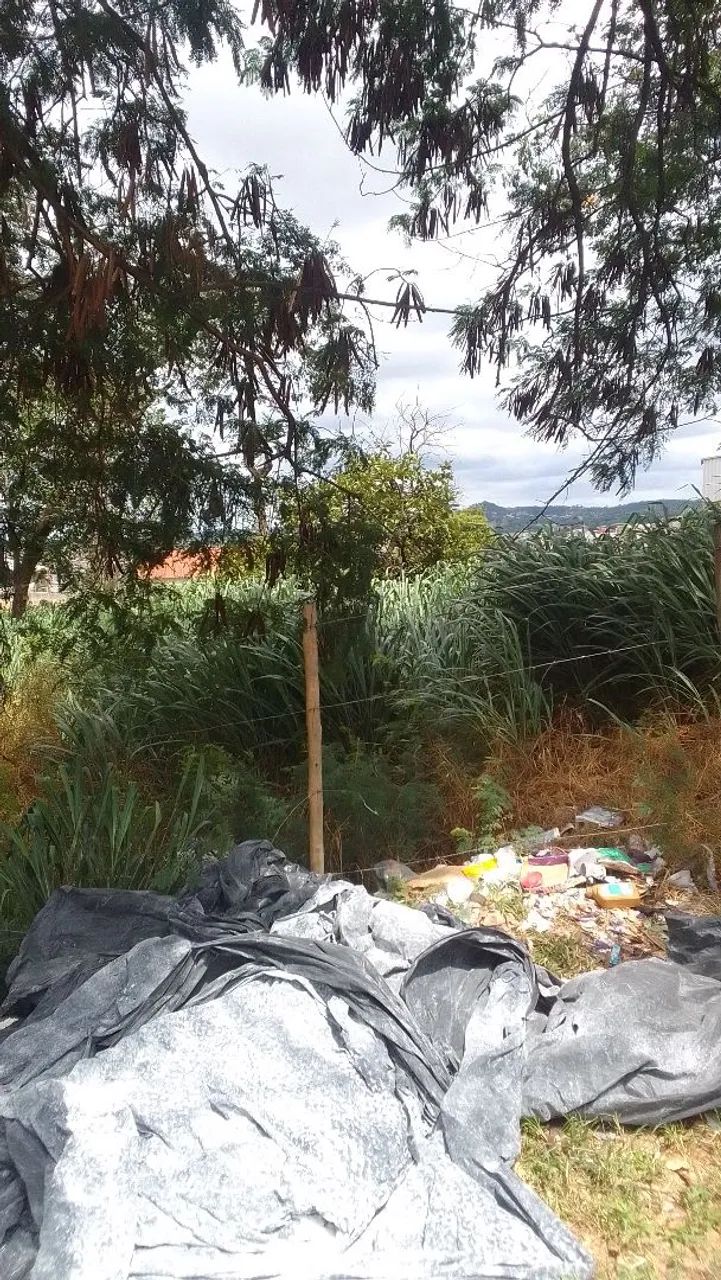 Foto - Belo Horizonte - Santa Efigênia