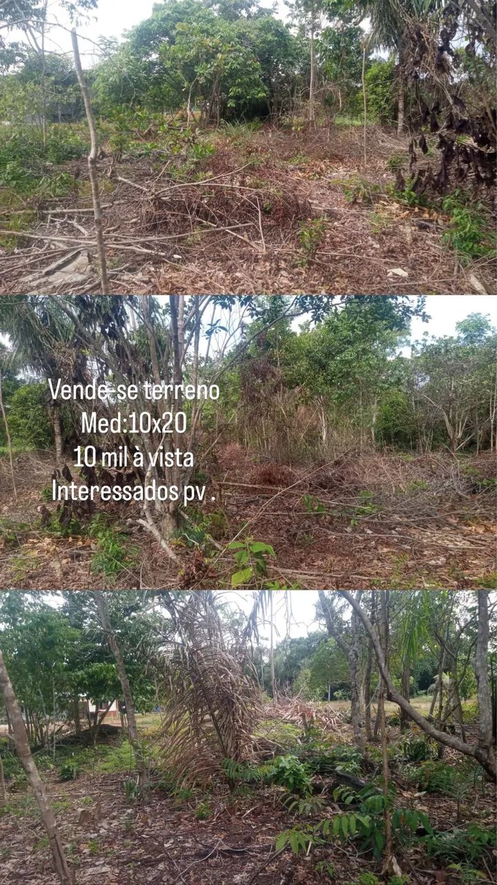 Foto - Iranduba - Centro