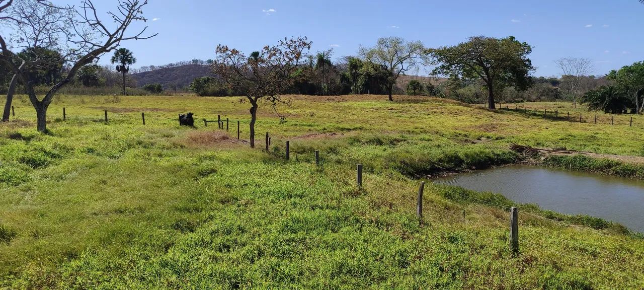 Chácara em Mairipotaba  - Foto 4