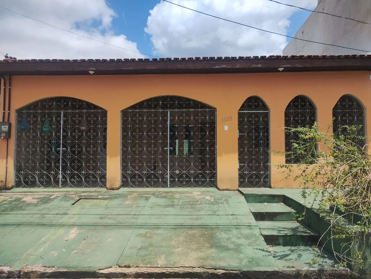 Foto - Belém - Coqueiro