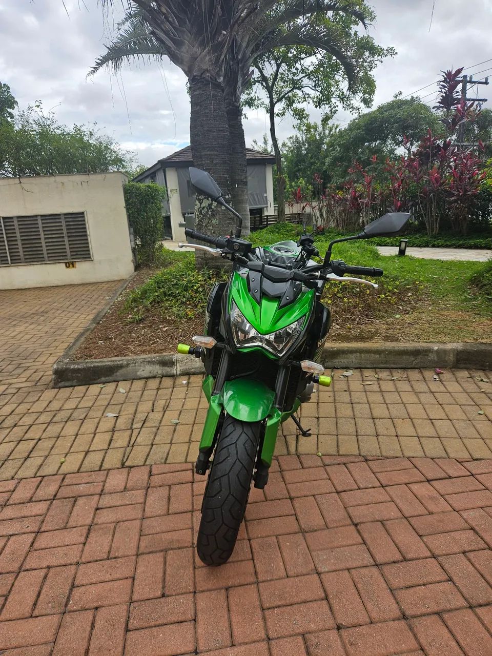 Z800 NOVA