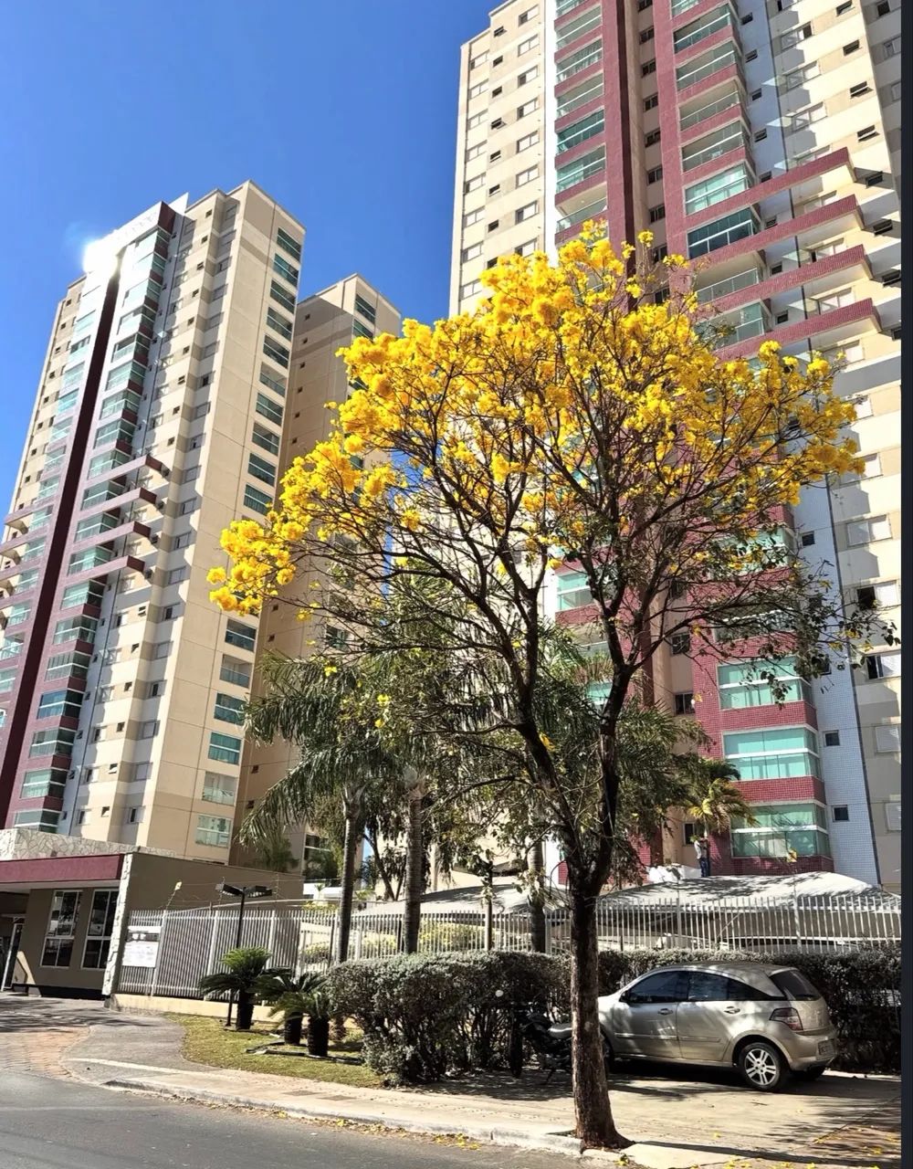 Foto - Goiânia - Residencial Eldorado Expansão