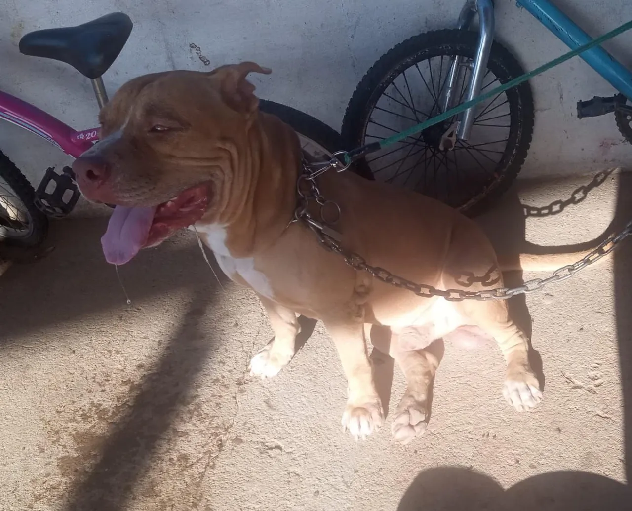Pit Monster 