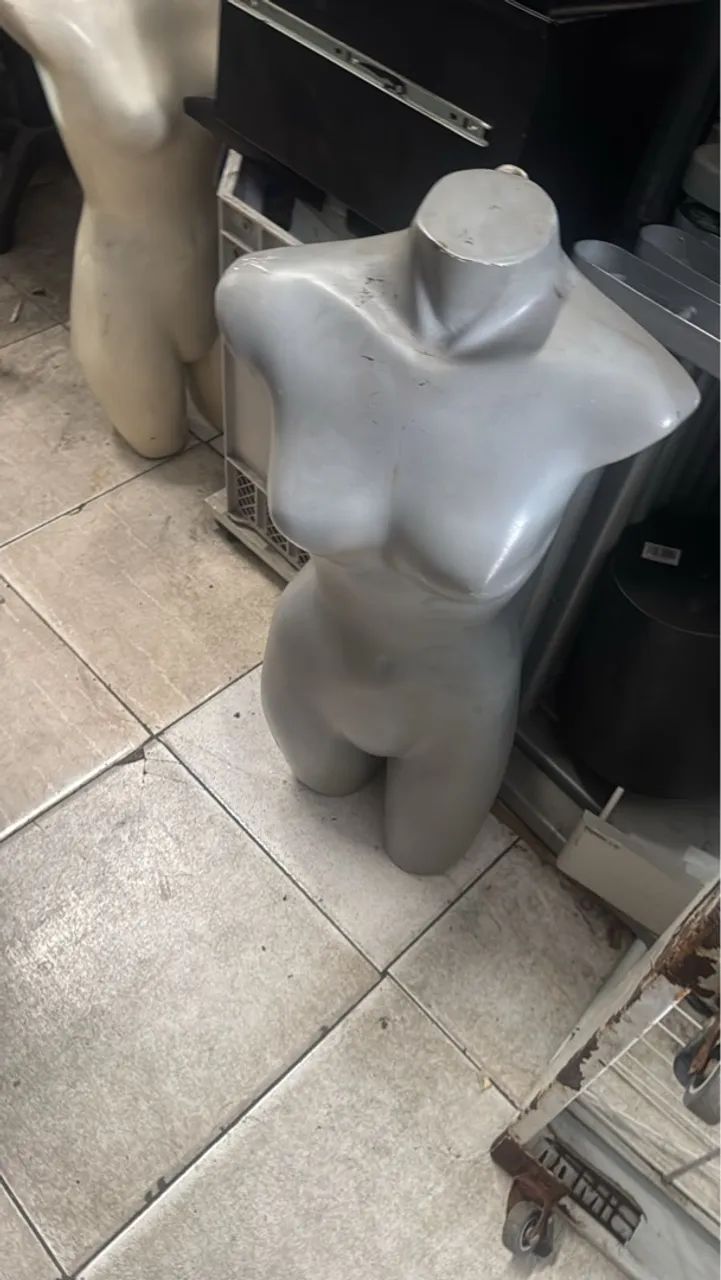 Lote de Manequis - Foto 3