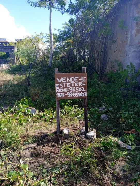 Foto - Paulista - Maranguape I