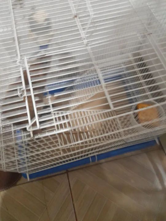 Gaiola com 2 tuwister  - Foto 3