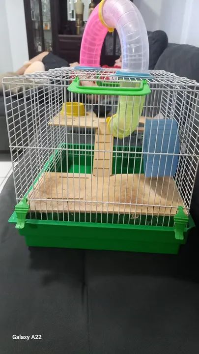 Gaiola Gigante  para roedor hamster e hamster anao - Foto 3