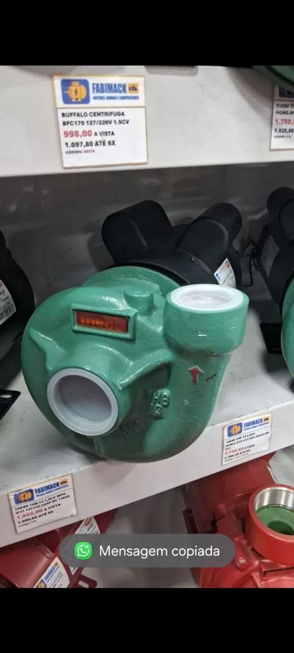 BOMBA CENTRÍFUGA 2CV MON 127/220V VAZÃO MAX 31 THB-13 THEBE - Foto 2